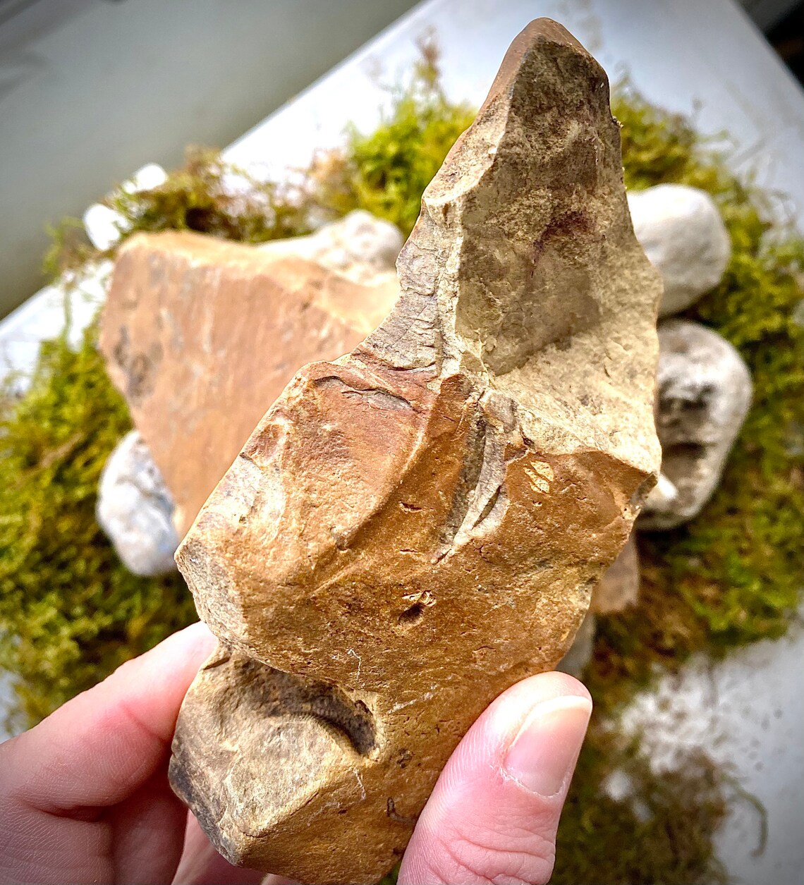 Authentic Ohio Flint Ridge Rough Flint Large Chunk Rock Core Etsy