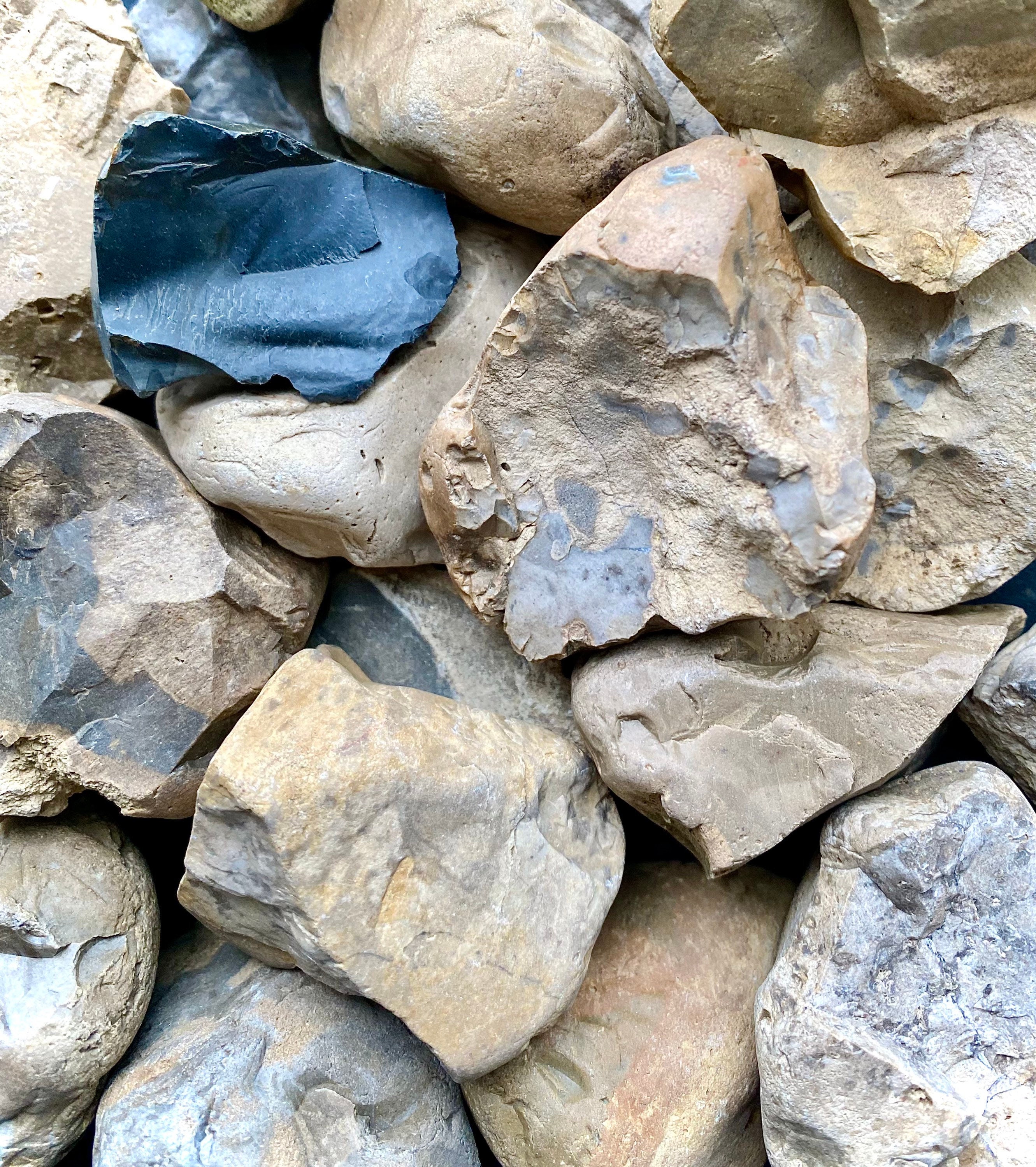 Set of 23 Ohio Chert Flint Stones Fossiliferous Rough Chunks Etsy