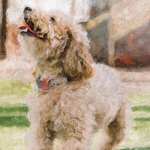 Pet Painting From Your Photo, Custom Dog Portrait, Birthday, Anniversary Gift For Pet Lover, Cat Painting From Photo, Canvas Print,Dog Lover