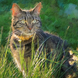 Cat Portrait From Photo, Custom Painting Pet Memorial Gift, Dog Portrait, Personalized Gift, Digital Painting Canvas Print, Gift For Him Her