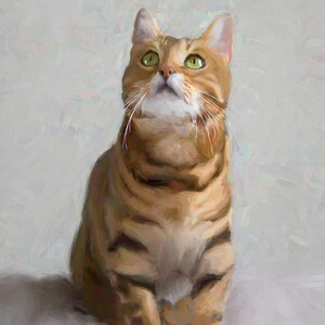 Cat Painting From Photo - Custom Dog Portrait - Birthday, Anniversary Gift - Dog Painting From Photo - Canvas Print - Dog Lover Gift