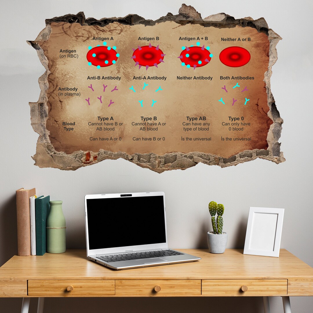 Blood Type Chart With Antigens Compatibility Educational Wall Etsy