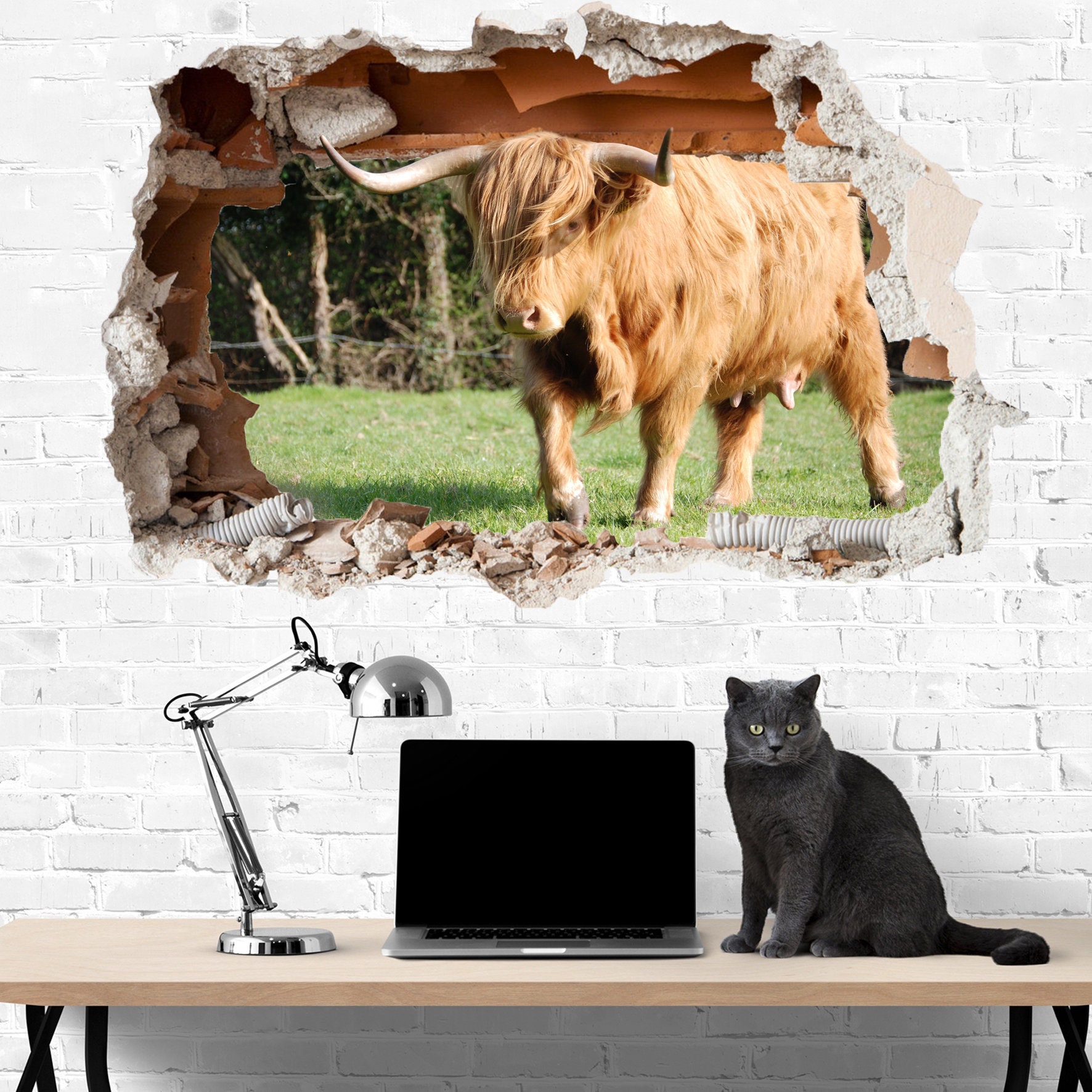 Grassland Farm Animals Highland Cattle Wall Sticker Art Poster Etsy UK