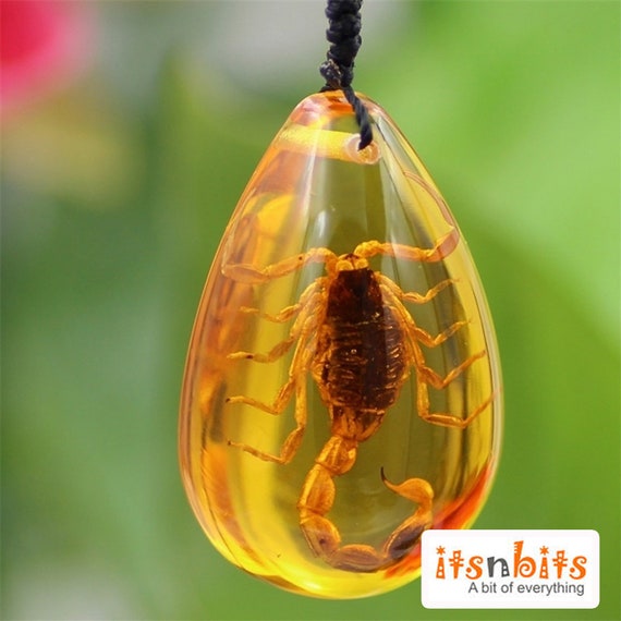Scorpion in amber necklace deals