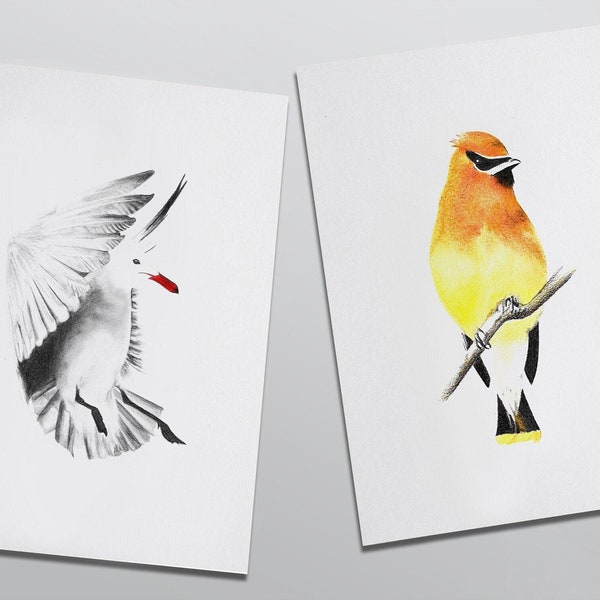 Duo illustrations oiseaux colorés jaune et noir, poster A5  • Yellow & black birds