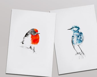 Duo illustration of colorful red and blue birds, A5 poster • Red & Blue bird