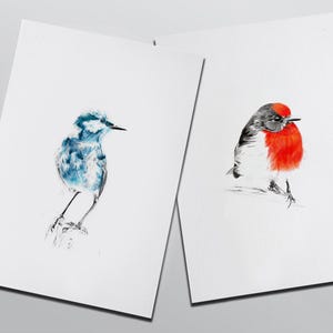 Duo of colorful red/yellow and blue bird illustrations, A5 poster • Red or Yellow & Blue bird