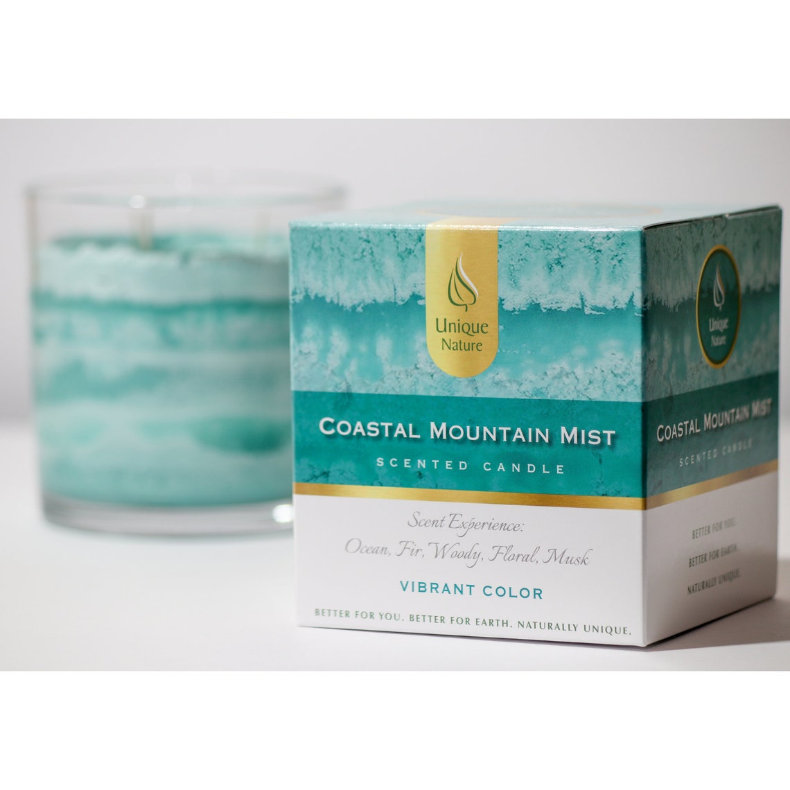 Coastal Mountain Mist Scented Candles Unique Candles Ocean Candles Etsy