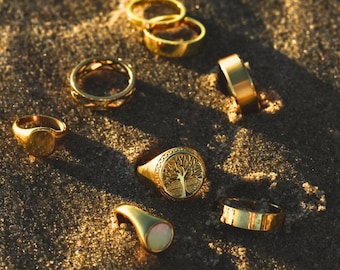 指輪・リング Signet Ring - In Gold We Trust - Gold - Brass In Gold We Trust Signet Ring in Metallic for Men | Lyst
