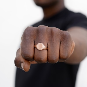 Mens Ring - Rose Gold Oval Signet with Brush / Matte Finish - Signet Ring for Men - Rose Gold Signet Ring - Small Pinky Ring - Mens Jewelry