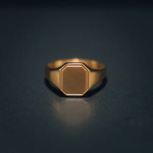 Herenring - Horizon gouden zegelringen voor heren - Octagon Pinky Ring - herensieraden zegelring heren door twistedpendant