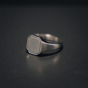 Zilveren matte zegelring - herenring - Horizon zilveren ringen voor heren - Octagon Pinky Ring - Zegelring herensieraden heren door twistedpendant