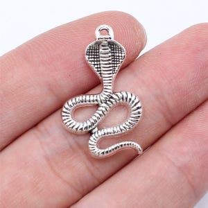 May include: A silver cobra charm with a loop for attaching to jewellery. The snake charm features detailed scales and a raised hood, and is approximately 4 cm in length.