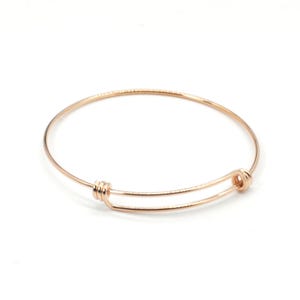 May include: Rose gold adjustable bangle bracelet. The bracelet features a simple, elegant design with a sliding mechanism for size adjustment. The metal has a smooth, polished finish, reflecting light. A classic piece of jewelry.