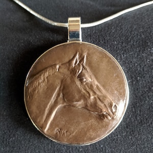 Thoroughbred