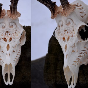 Carved deer skull, deer antlers, perfect gift, home decor, skull carving, carved swallow, Valentine's gift, gift for her, EchoesOfForest