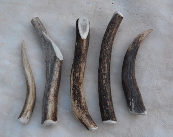 0,5kg/1,1lb of Antler Dog Chews