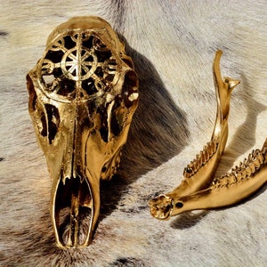 Doe Skull, Deer skull carving, Carved Skull, Vintage gift , for her for him, home decor, Real deer skull
