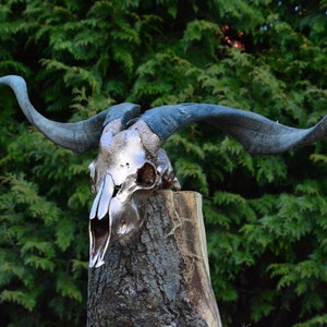 Goat skull, Old-gold painted, MADE TO ORDER!