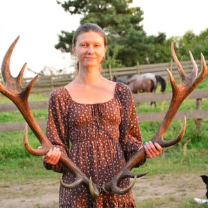 Red Deer Antler Pair: European Sheds, Rustic Decor, Mounting Kit