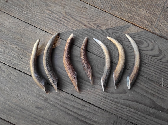Deer Antler Drawer Handles: Rustic Charm for Unique Home Decor