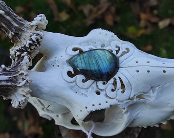Engraved Roe Deer Skull: Labradorite Cabochon, Unique Home Decor