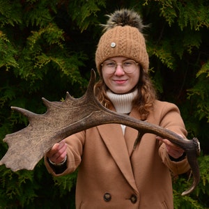 European Fallow Deer Antler Shed: Natural Forest Find, Custom Carving