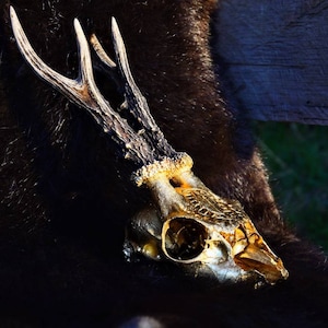 MADE TO ORDER, Carved deer skull, Gold painted , Skull Carving, Real skull with antlers,  perfect gift or vintage decor | witch style