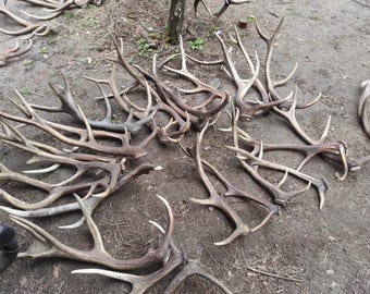 il_340x270.7244009214_lvv1.jpg