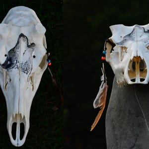 May include: A white animal skull with a painted wolf design. The skull is adorned with feathers, red and blue beads. The skull is displayed on a dark background, showcasing the intricate details and artistic embellishments.
