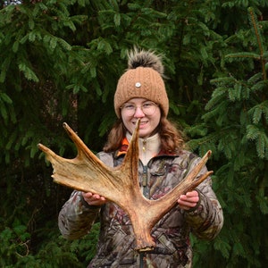 European Moose Shed Antler: Natural Forest Find, Home Decor