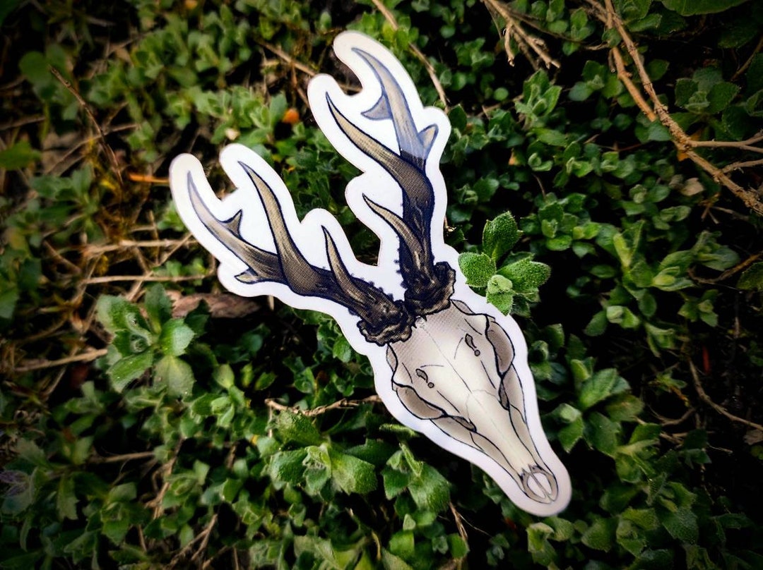 Roe Deer Skull Vinyl Sticker (5x9.3cm) - Etsy, image size:1080x808