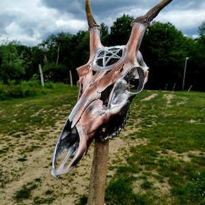 Coool skull staff ! MADE TO ORDER Carved deer skull with a stone Real deer skull Home decor Head on a stick unique item