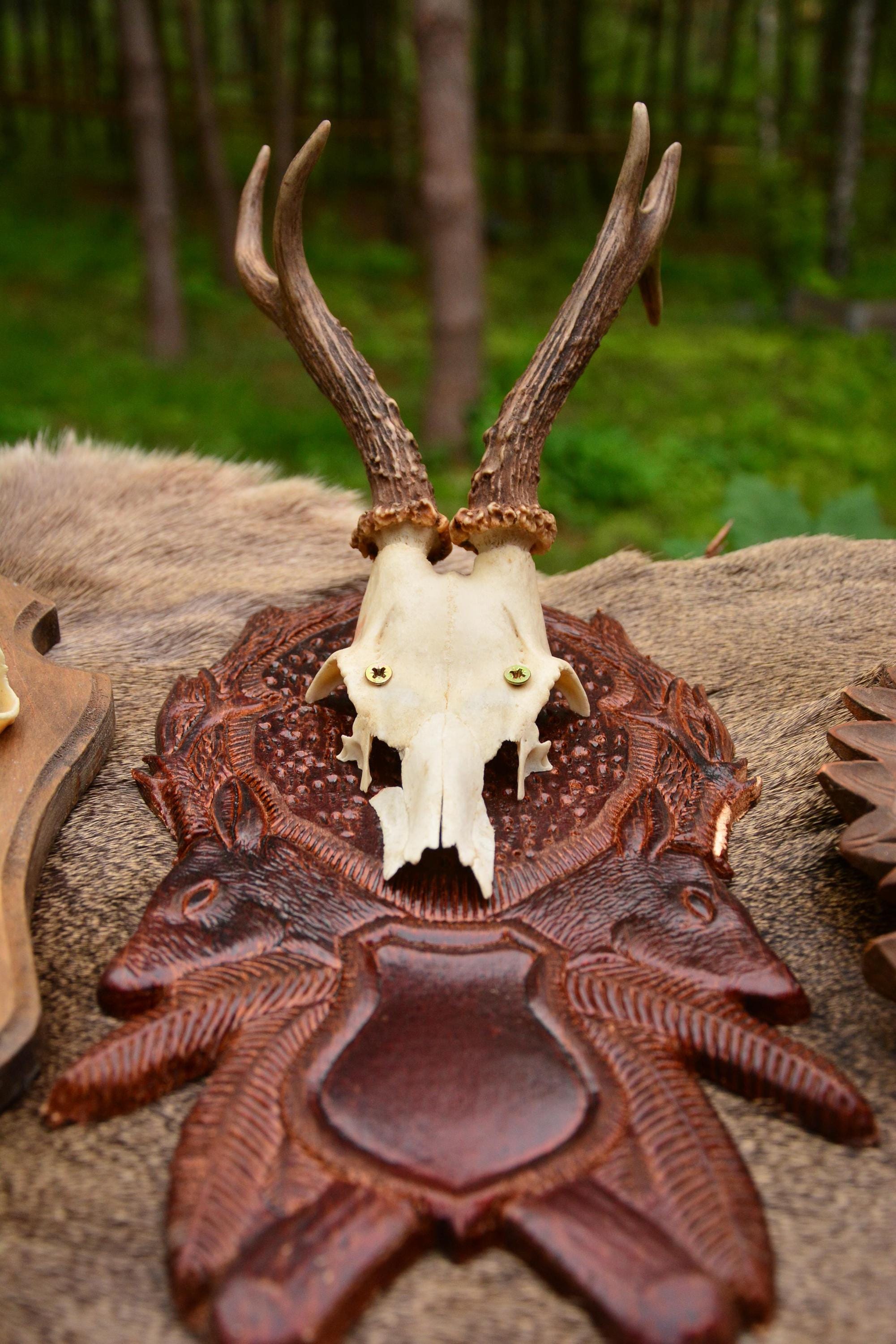 木の板に描かれたノロジカの頭蓋骨 | 素朴な森の装飾 - Etsy 日本