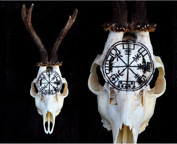 Carved Roe Deer Skull: Vegvisir Viking Rune, Home Decor