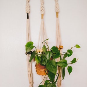 Mini Beaded Macrame Plant Hanger