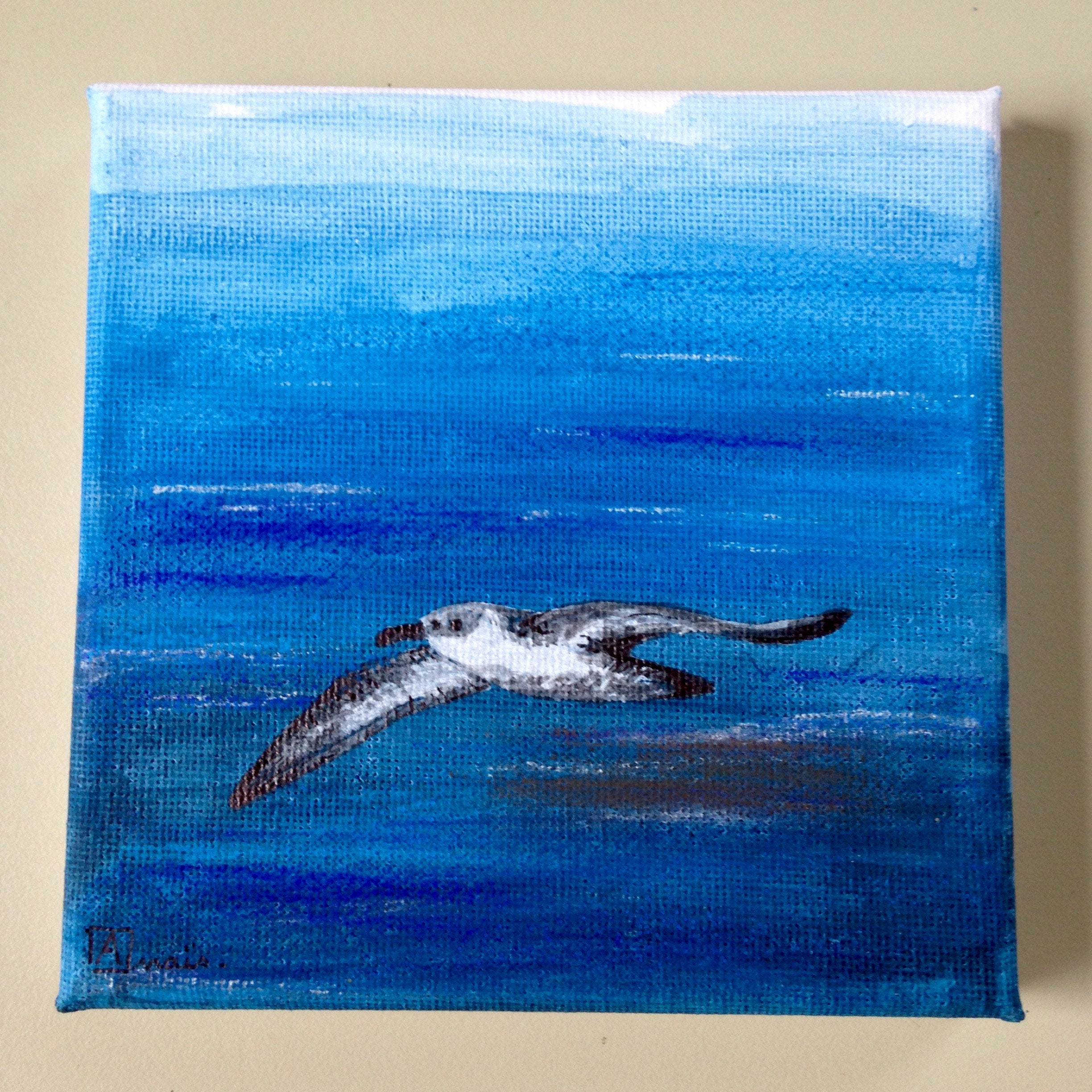 Tableau Carré Acrylique Pour Décoration Murale