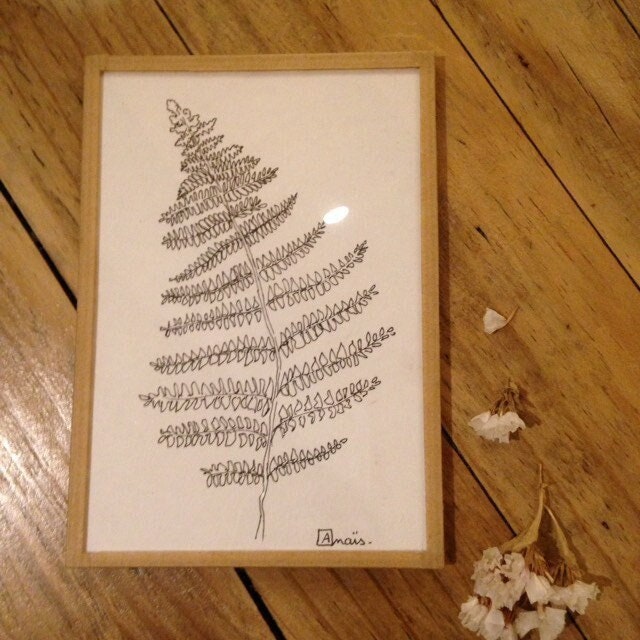 Illustration Fougère Noir et Blanc Encadrée