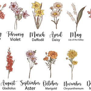 May include: A vintage style illustration of flowers representing each month of the year.  January is a carnation, February is a violet, March is a daffodil, April is a daisy, May is a lily of the valley, June is a rose, July is a larkspur, August is a gladiolus, September is an aster, October is a marigold, November is a chrysanthemum, and December is a narcissus.