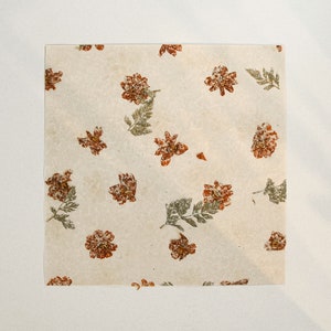 Papier prasowany Dry Flower Handmade Organic 70 GSM - Różowy (na arkusz, 4 rozmiary)