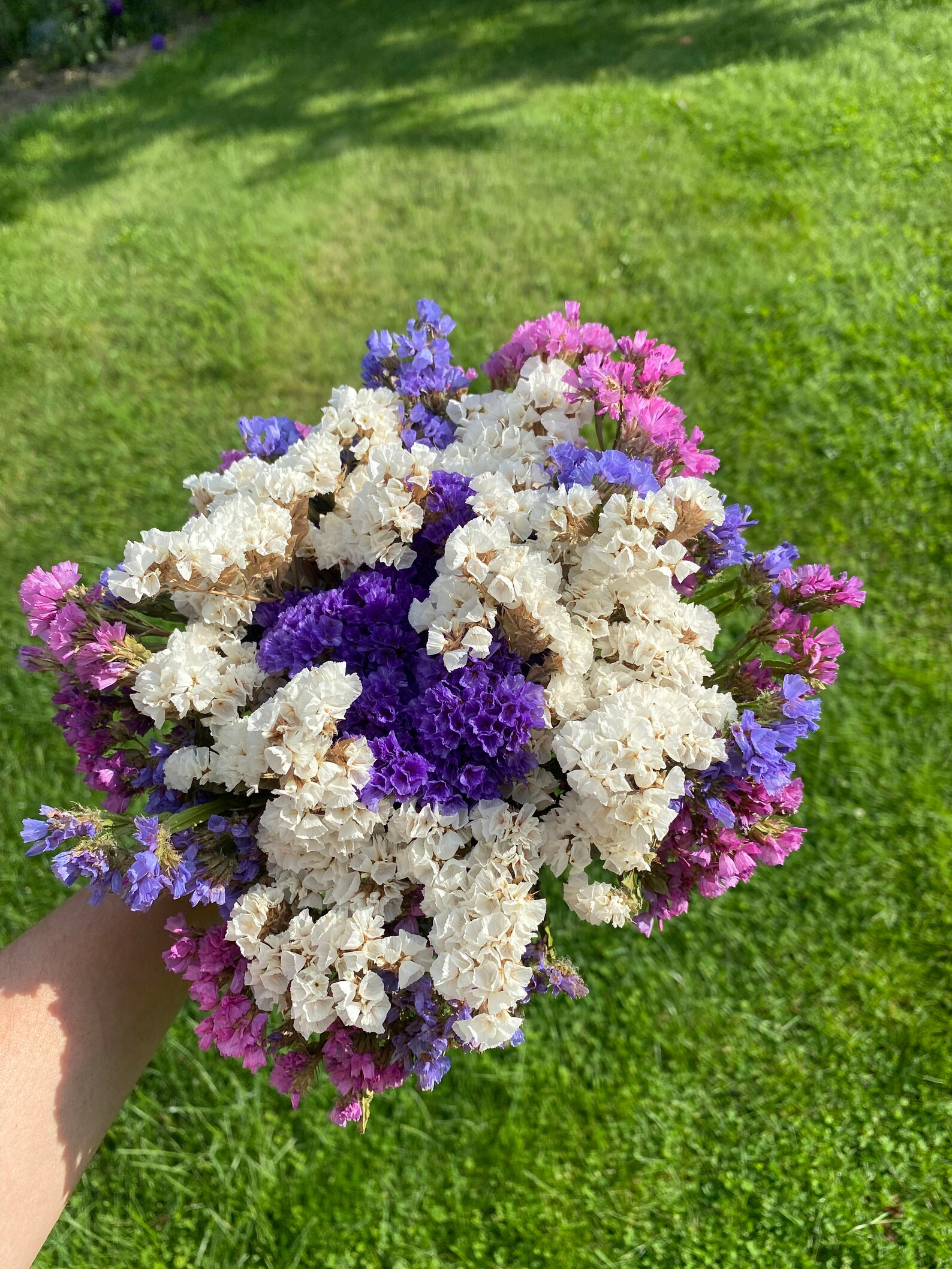 Statice Bouquet Dried Statice Statice Flowers Bouquet of Etsy