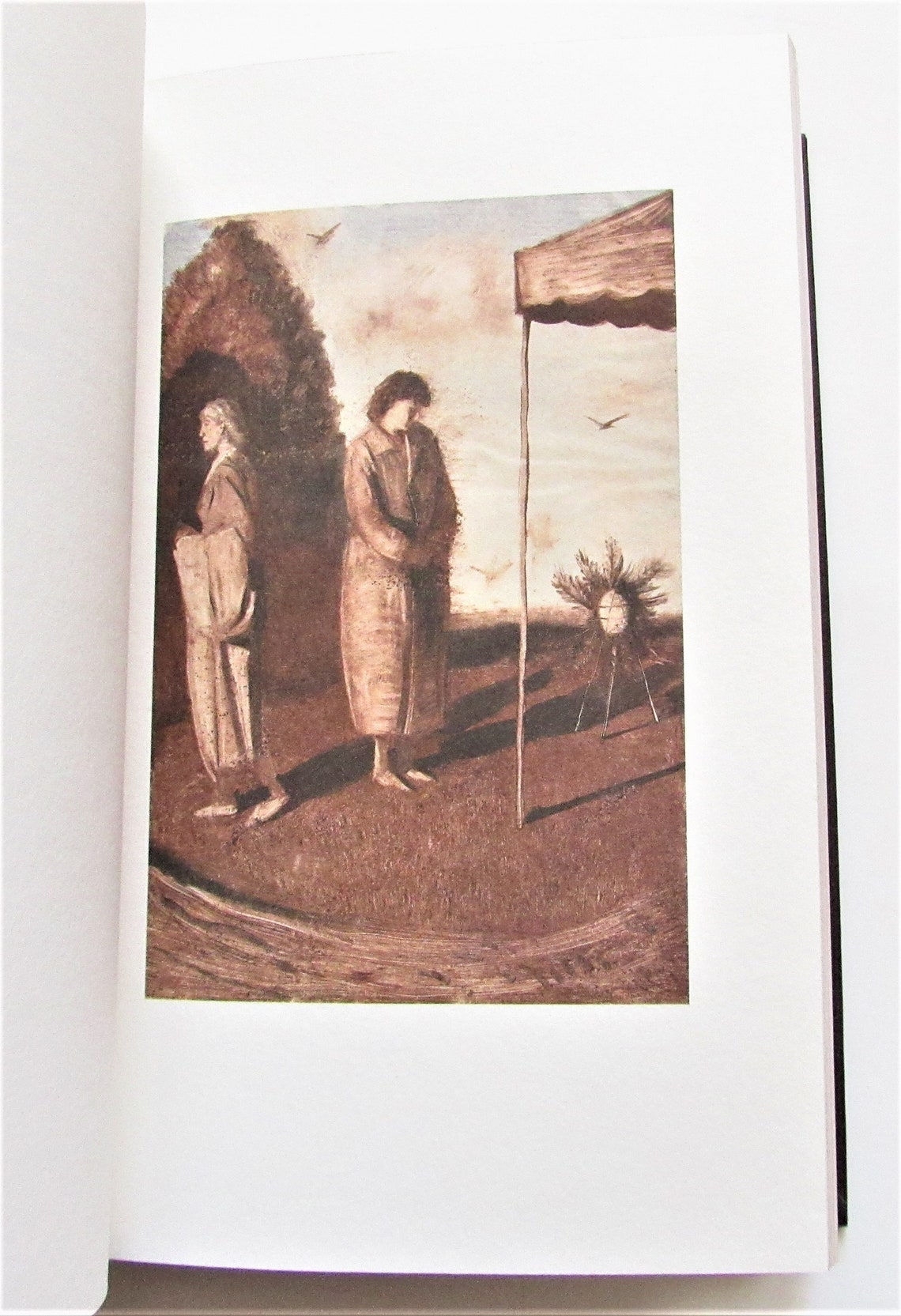 eudora welty the optimists daughter eudora welty the optimists daughter