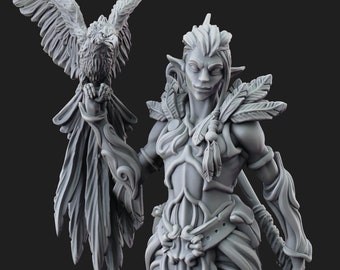 D&D - NMM - Winter/Spring Eladrin – DruidDice