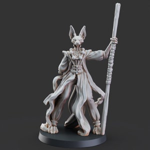 Tabaxi Monk &quot;Master Mao&quot; model for Dungeons and Dragons