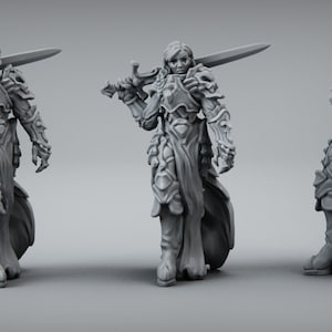 Paladin | Fighter Female miniature for Dungeons and Dragons