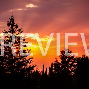 May include: Silhouetted trees stand against a vibrant sunset sky with streaks of light radiating from behind the clouds. The sky is a mix of orange, pink, and yellow.