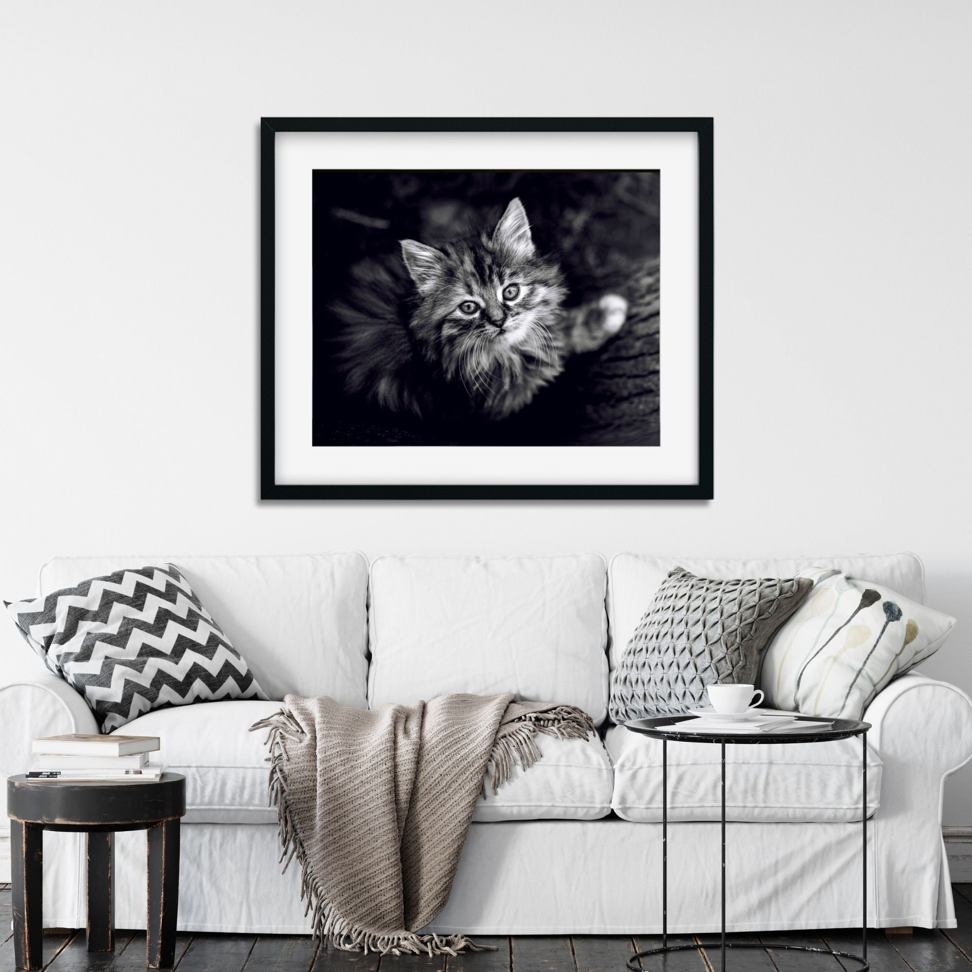 Black and White Kitten Photo, Printable Cat Wall Art (digital Download ...