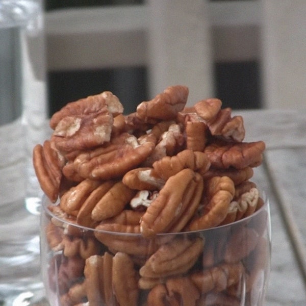 4 Hardy Pecan Trees (18-24”) Live Trees "Carya illinoinensis"  Grown at my Licensed Nursery!  Pie lovers, stuart, delicious nuts