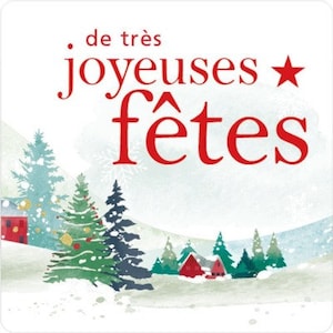 étiquette kraft, sticker autocollant pour vos fournitures de loisir créative,  pour vos cadeaux anniversaires et fêtes de 10 à 50 unités.