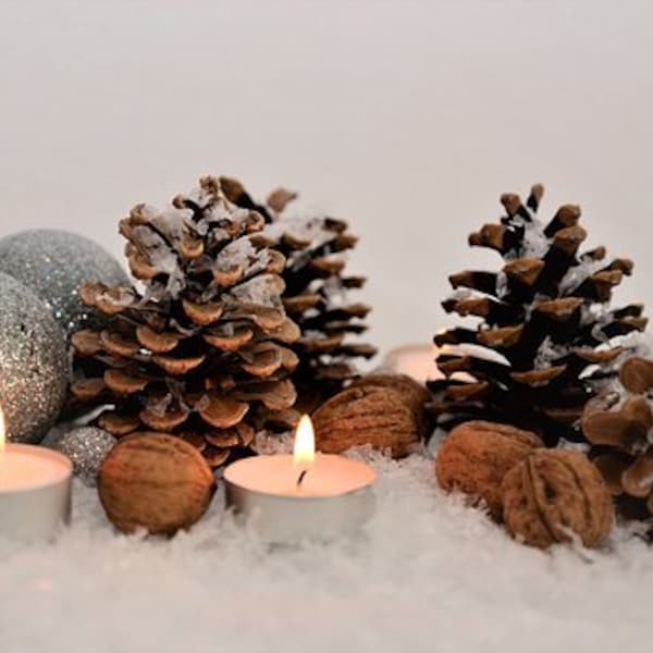 Pomme de pin pour la décoration de vos tables de fête, idéal pour une déco de Noël